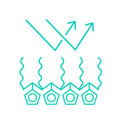 Custom icon