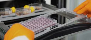 Incumbation of spheroids by faCellitate