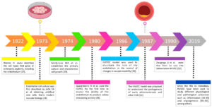 EVOLUTION OF 3D CULTURES