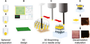 3d bioprinting