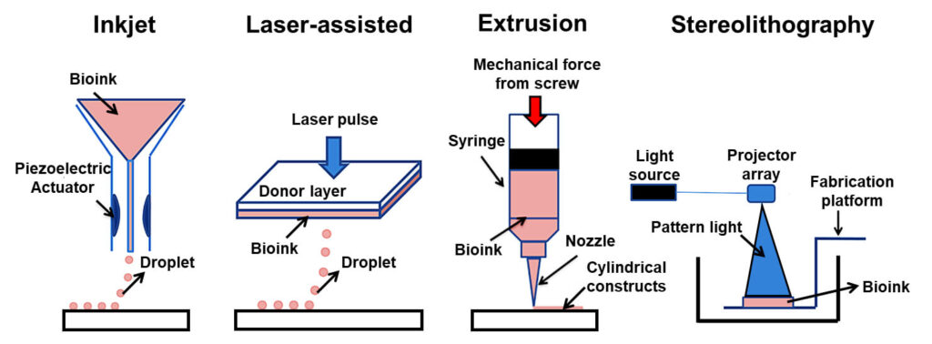 3d bioprinting types