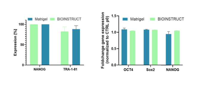 image_padded_2_670x300