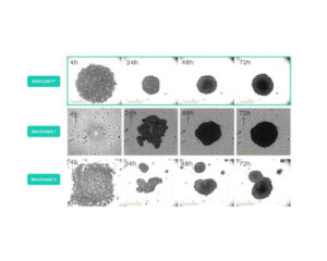 BIOFLOAT™ 96-well plates (4 Plates per pack) F202003 - faCellitate