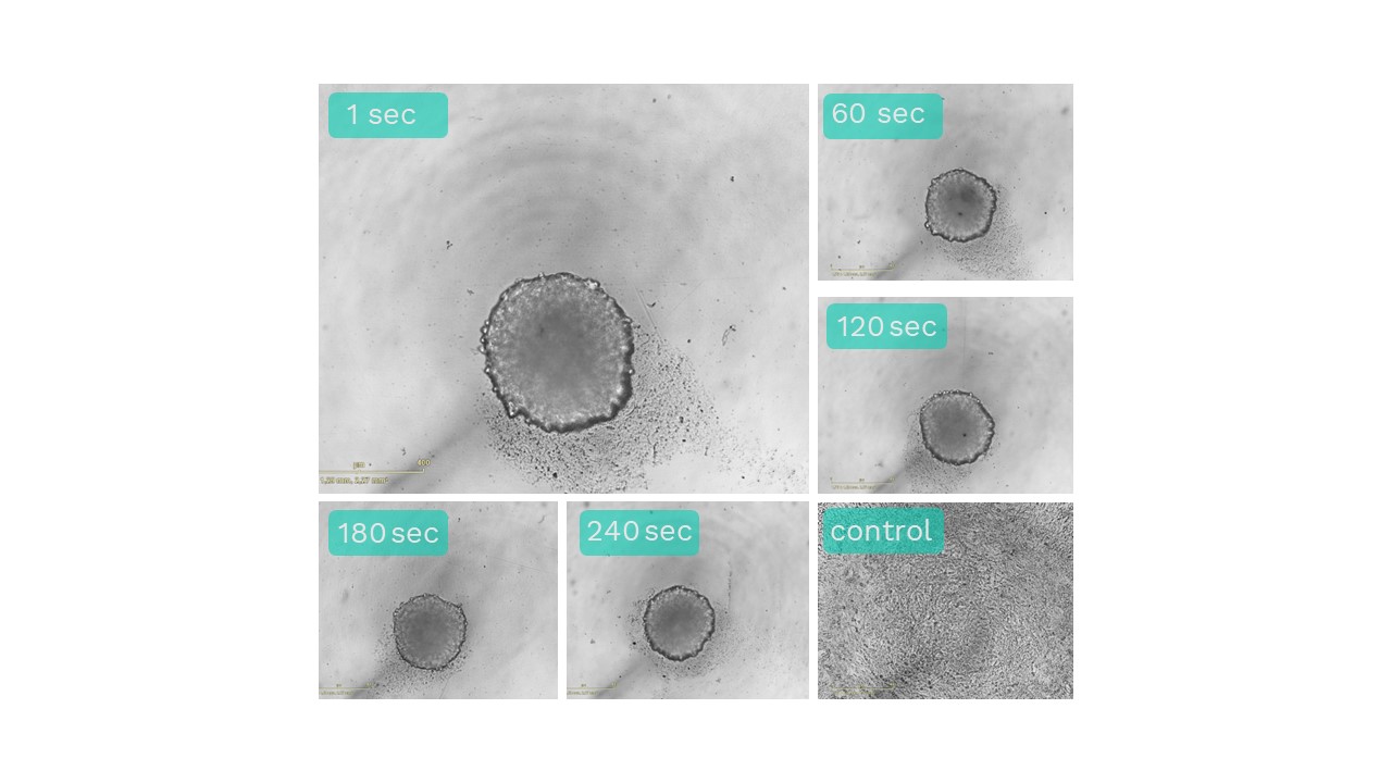 BIOFLOAT™ 96-well plates (4 Plates per pack) F202003 - faCellitate