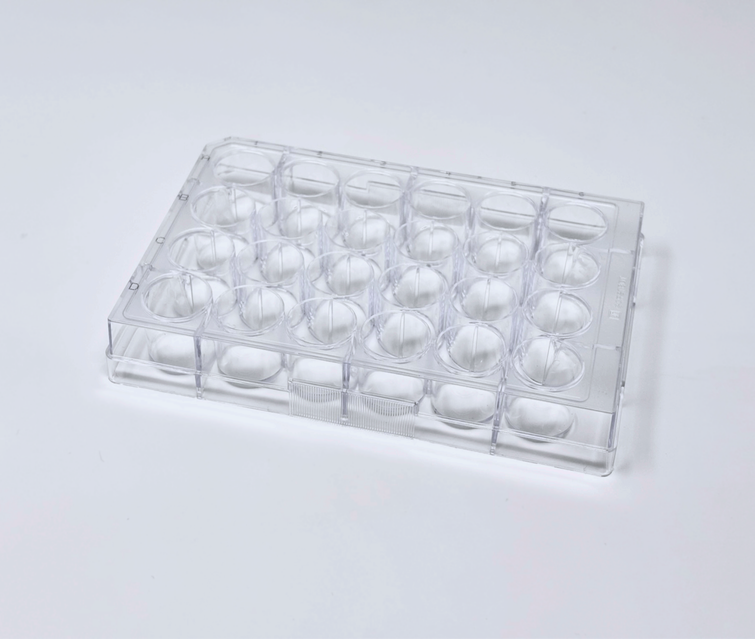 Plaque BIOFLOAT™ 24 puits [F202303] - faCellitate