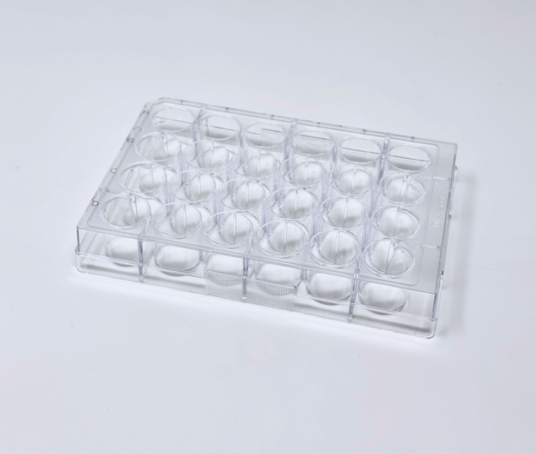 BIOFLOAT™ 24-well plate [F202303] - faCellitate