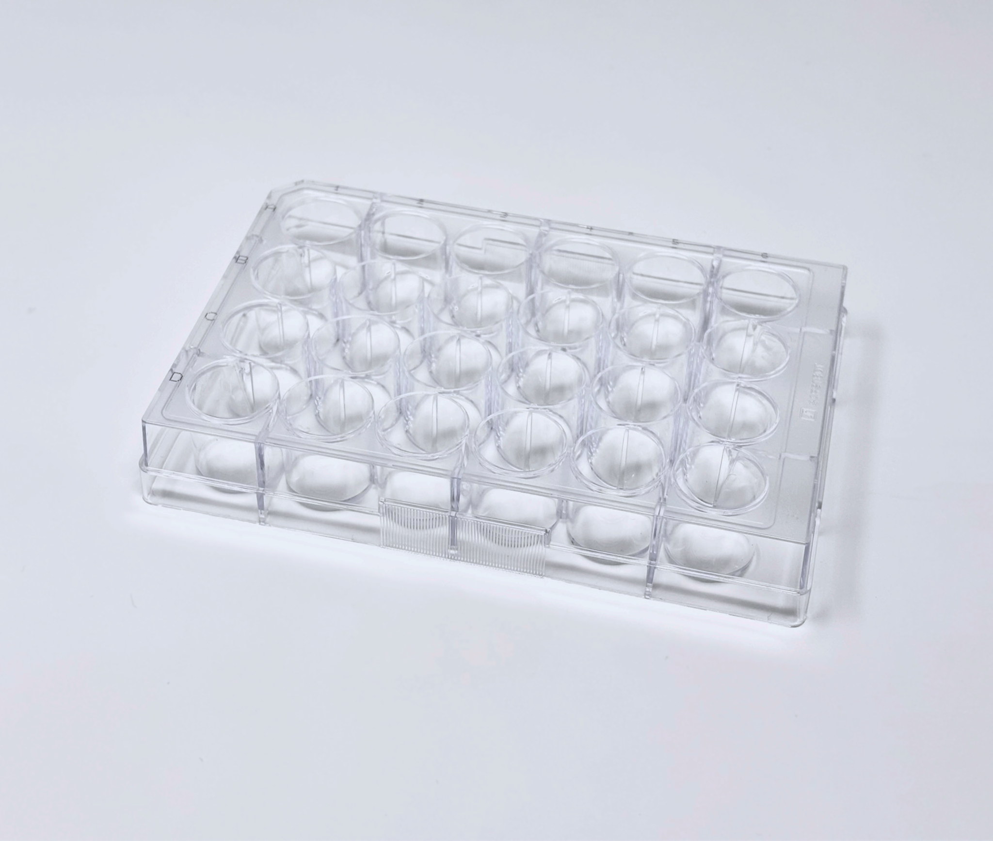 Plaque BIOFLOAT™ 24 puits [F202303] - faCellitate