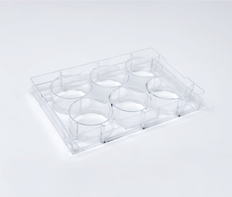 BIOFLOAT™ 6-well plate [F202302] - faCellitate