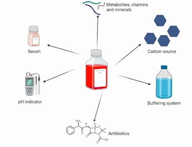 all-you-need-to-know-about-cell-culture-media-facellitate