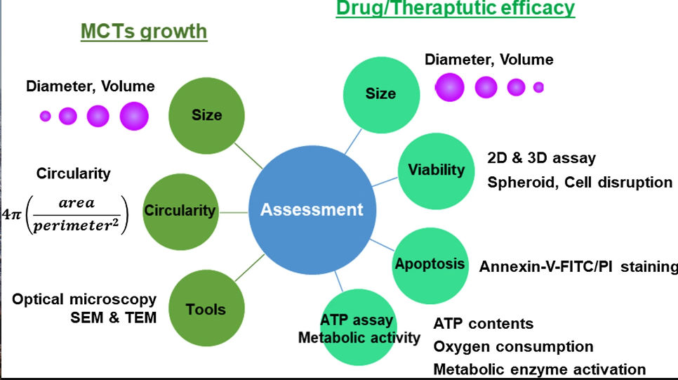 Cell Viability Testing Using Multicellular Tumor Spheroids (MCTs) –  faCellitate