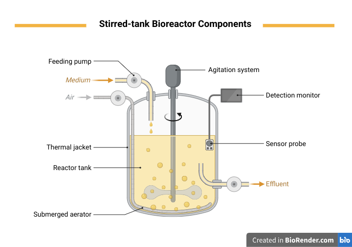 Key Components Of Bioreactors – FaCellitate