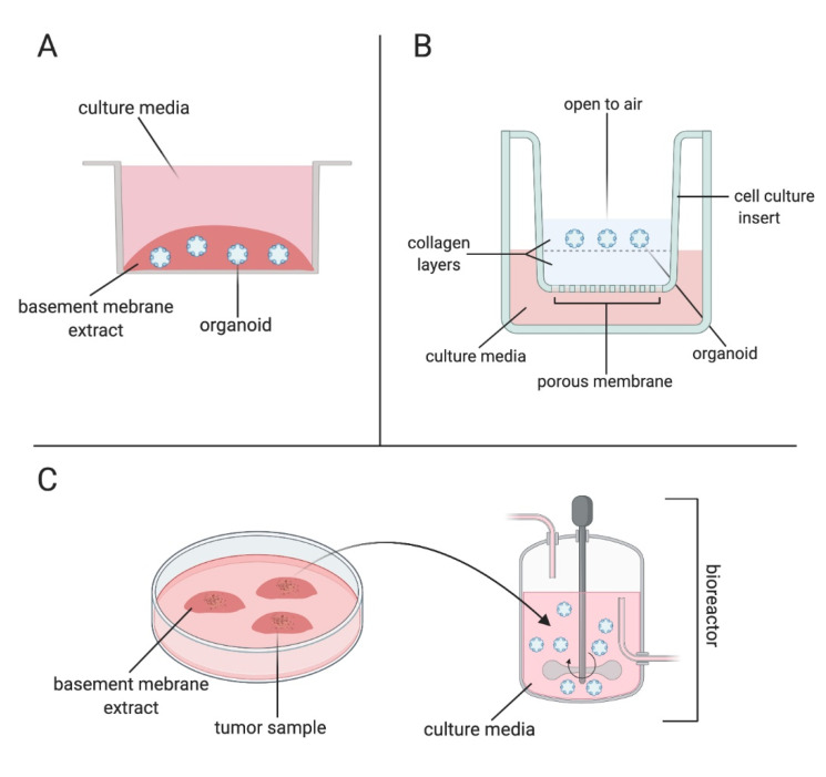 Tumoroids