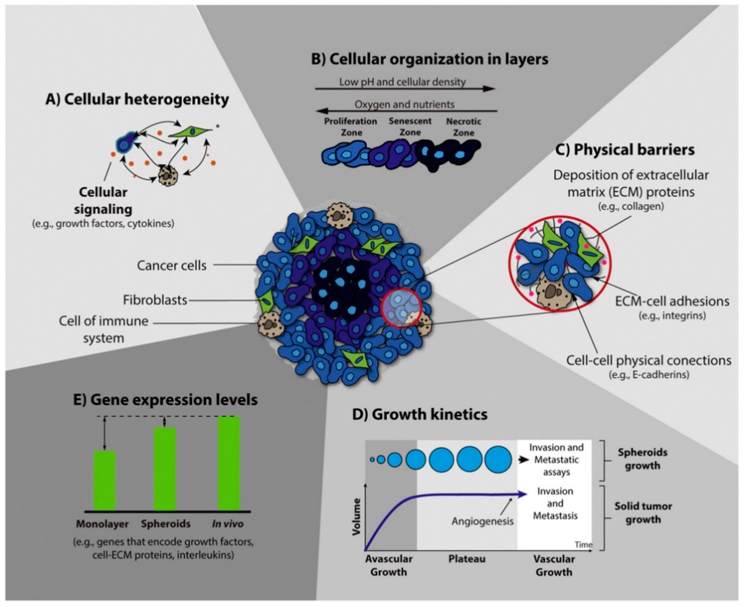 Matrix Factor Cancer